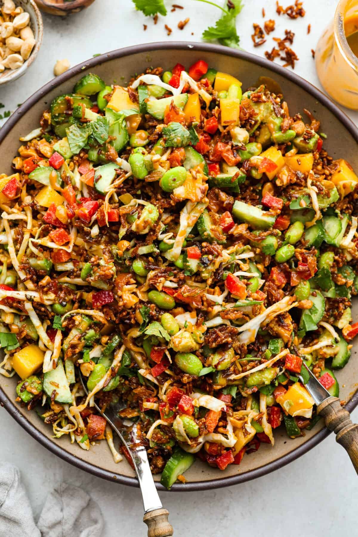 This trendy Crispy rice salad is a perfect mix of crunch, freshness, and bold flavor! Golden rice, vibrant veggies, and a creamy dressing make every bite irresistible. Overhead shot of the trendy crispy rice salad.