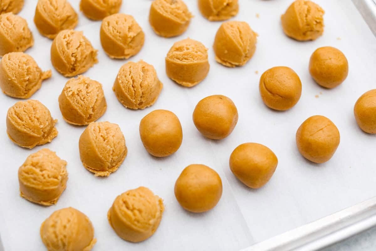 Peanut Butter Blossom Cookies are classic cookies that are perfect for every occasion. The delicious pairing of peanut butter and chocolate in these soft, buttery cookies will delight cookie lovers of all ages. Overhead shot of cookie dough scooped into balls on a baking sheet.