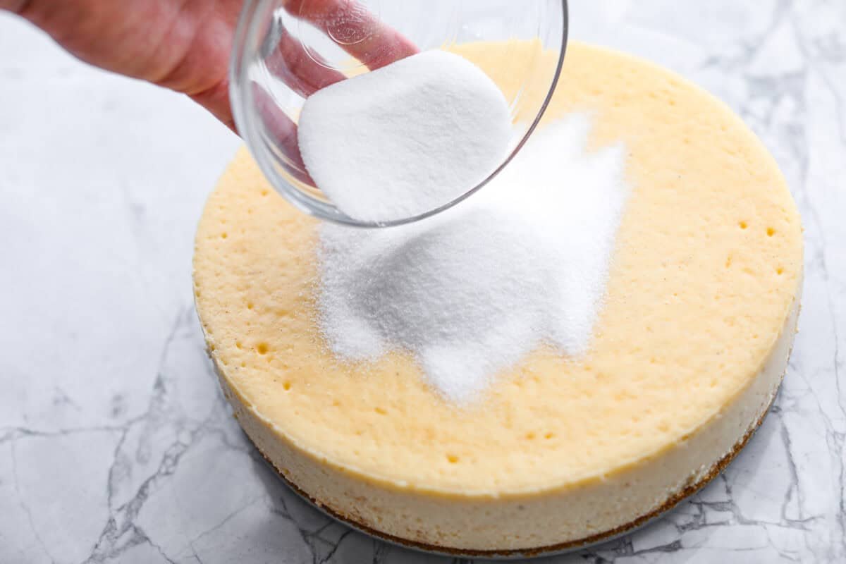 Creme Brulee Cheesecake is the perfect merging of two beloved desserts! It has the rich, creamy texture of cheesecake with the caramelized sugar topping of classic crème brûlée. This irresistible treat is the best of both worlds! Angle shot of someone pouring sugar on top of the cooled cheesecake.