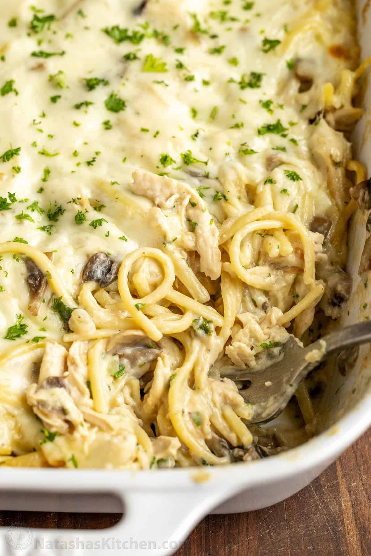 Chicken Tetrazzini is a cheesy, creamy chicken pasta bake that will have your family refilling their bowls! Make this easy casserole today! A fork scooping chicken tetrazzini out of the serving dish