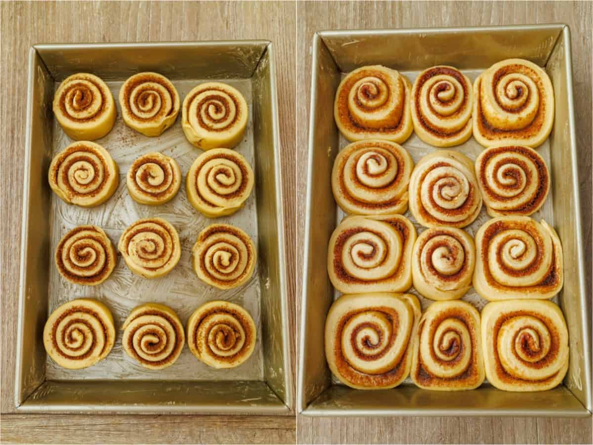 Learn how to Make Sourdough Cinnamon Rolls Side by side cinnamon rolls before and after proofing.