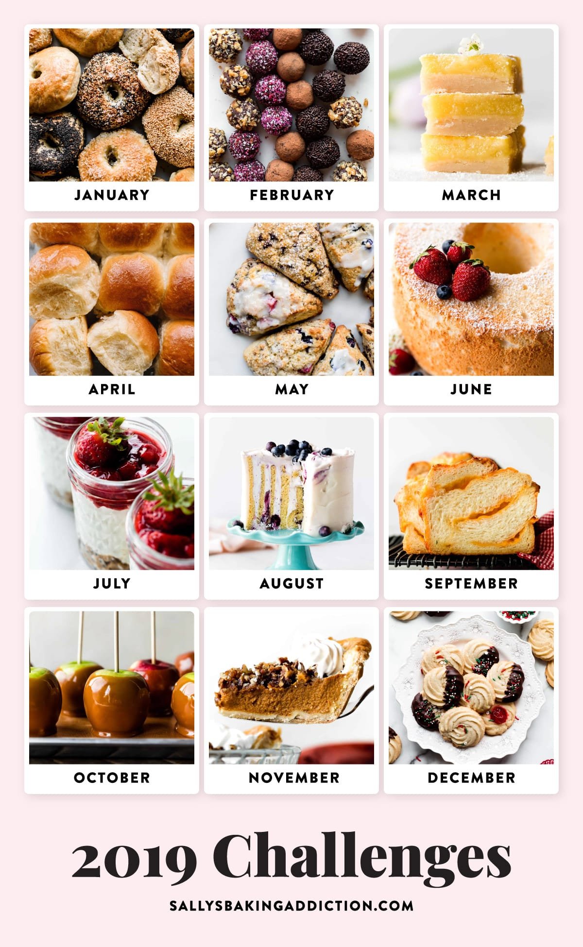 Photos of all of the 2019 Sally's Baking Challenge Recipes with months written out.