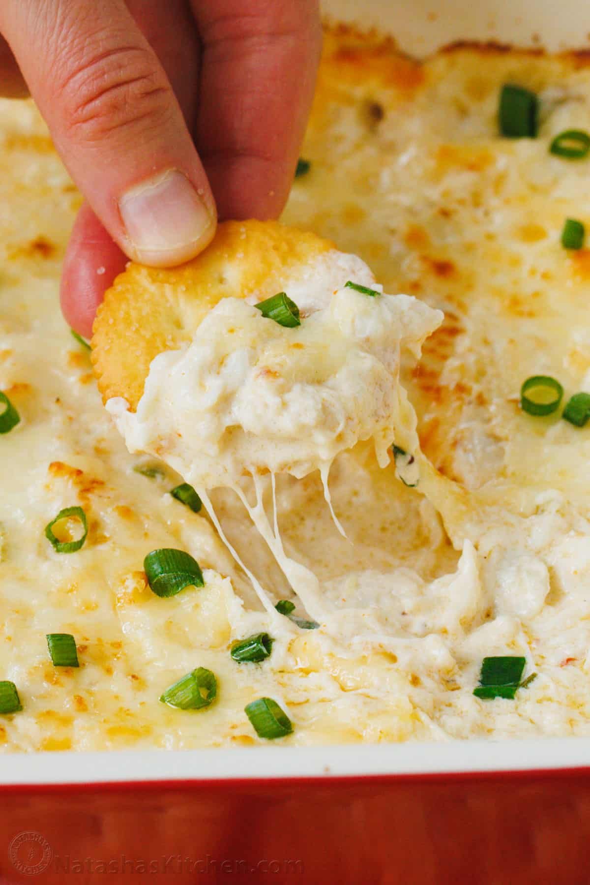 Creamy and cheesy hot Crab Dip is irresistibly good. It's loaded with lump crab meat and will be the star appetizer of your holiday menu. Dipping a cracker into cheesy crab dip