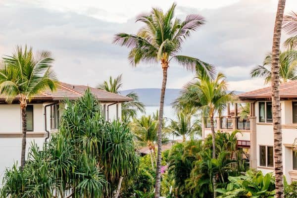 A photo of apartments, palm trees and the ocean