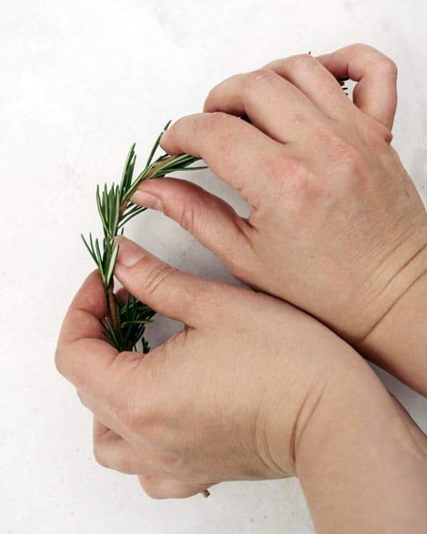 Bend the rosemary sprigs with your hands to make it able to go into a circle.