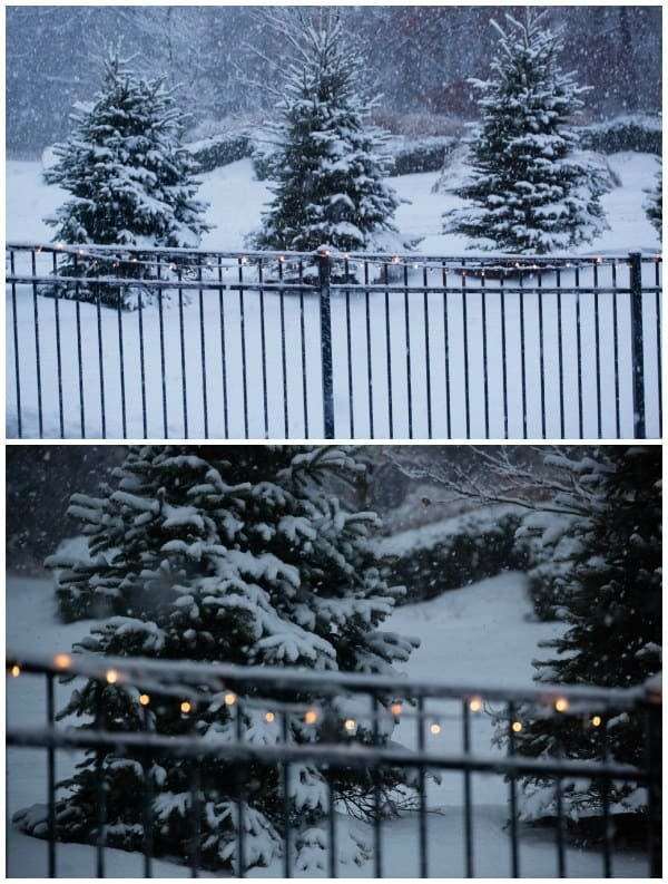 snowstorm2