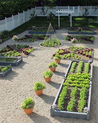 potager-kitchen-garden-susan-cohan-gardens_2757