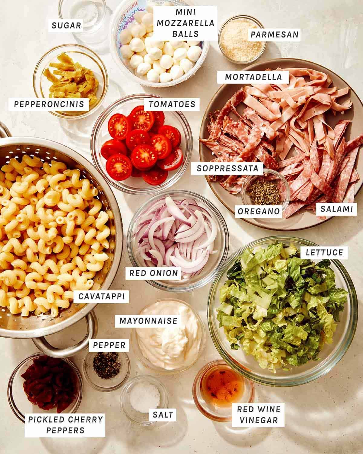 Grinder pasta salad ingredients all laid out to make the recipe.