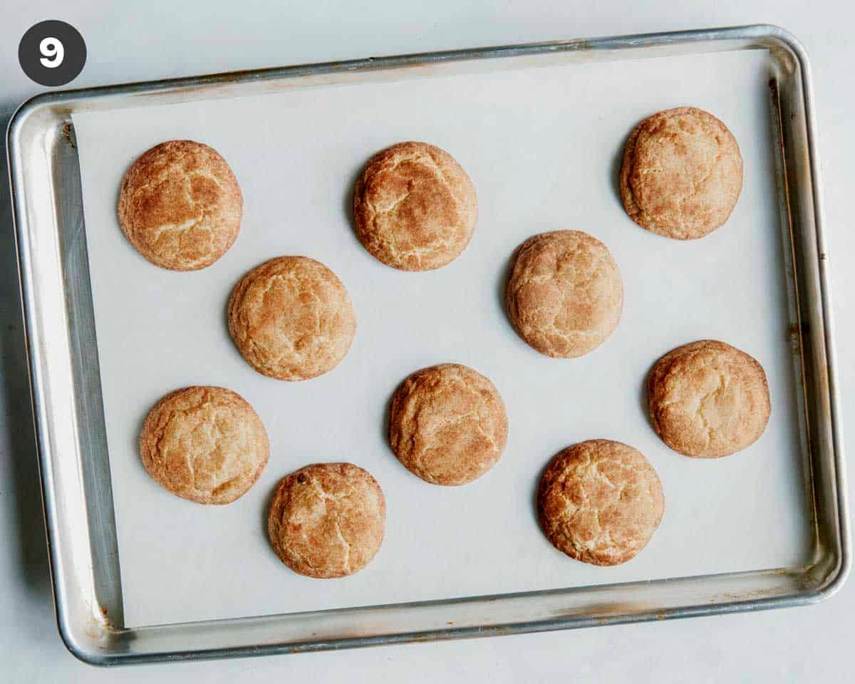 Snickerdoodle cookies baked on a baking sheet.