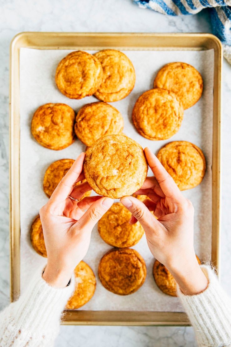 holding snickerdoodle recipe without cream of tartar