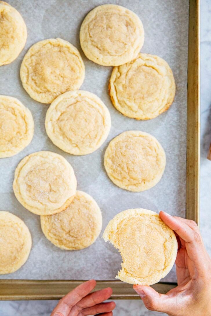 photo of michelle from hummingbird high holding a chewy sugar cookie with a bite taken out of it