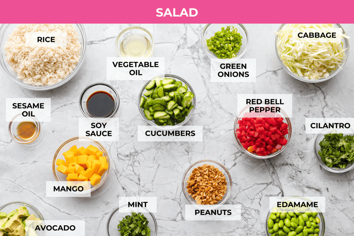 This trendy Crispy rice salad is a perfect mix of crunch, freshness, and bold flavor! Golden rice, vibrant veggies, and a creamy dressing make every bite irresistible. Overhead shot of labeled crispy rice salad ingredients.