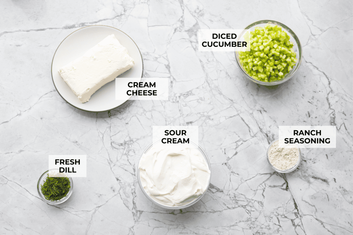 You guys are going to love how refreshing and flavorful this cucumber dip is. It's the perfect mix of creamy and crunchy and comes together in minutes! Overhead shot of labeled ingredients.
