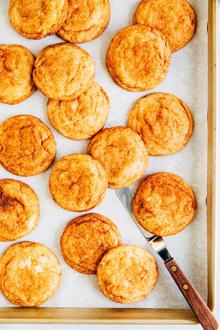 snickerdoodle recipe without cream of tartar