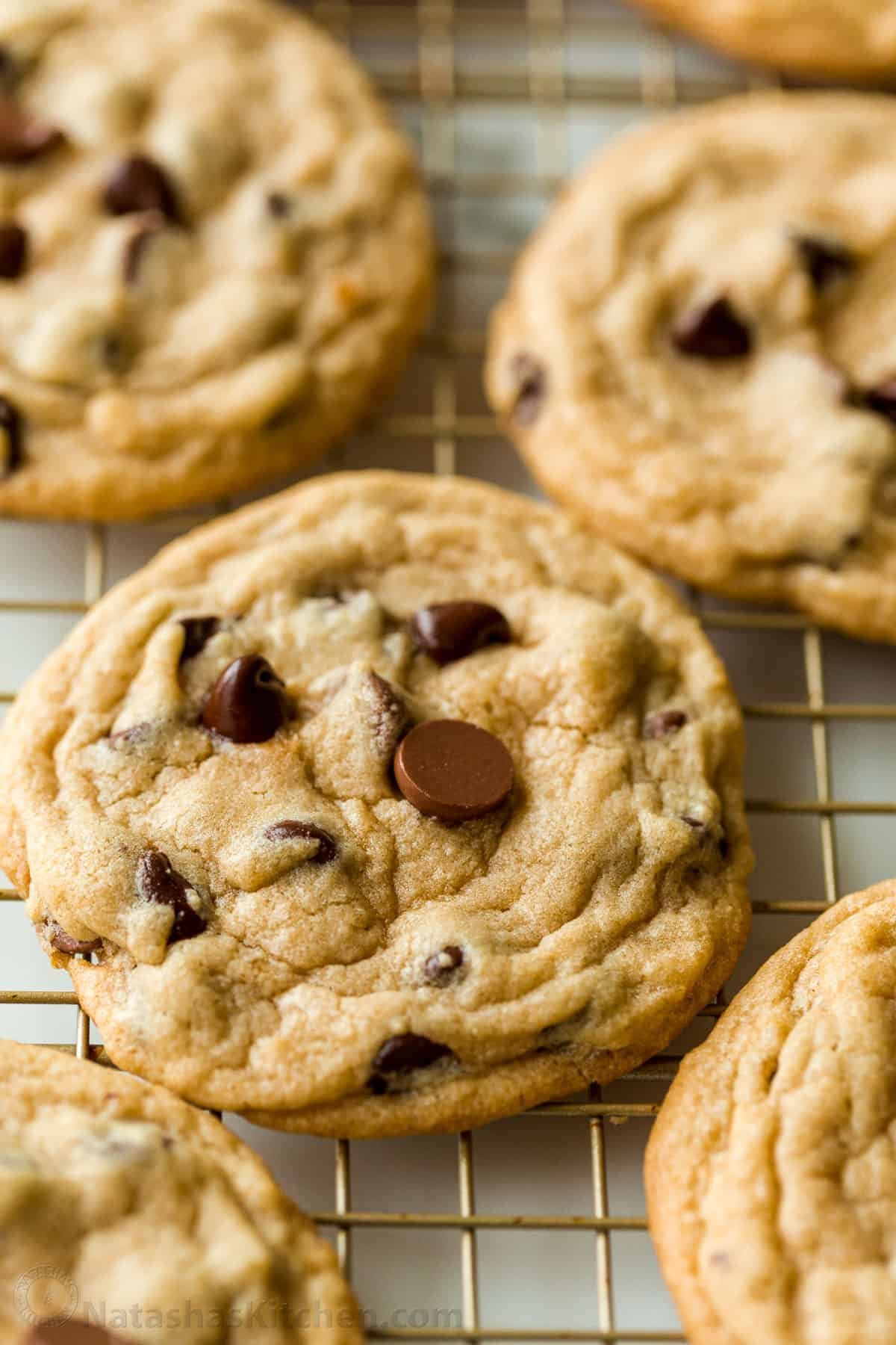 The best Chocolate Chip Cookies are soft, chewy, and loaded with melty chocolate chips. This recipe is so easy with no refrigeration needed. Chocolate Chip Cookies studded with chocolate chips on a cookie rack