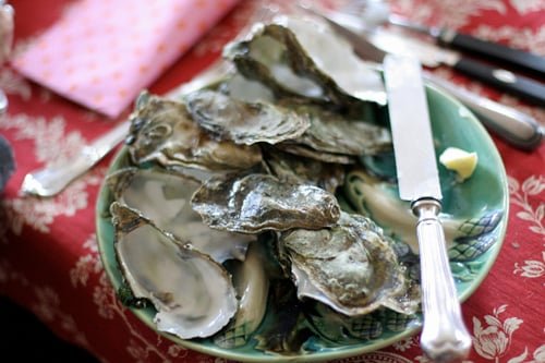 oyster aftermath
