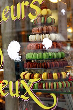 macaron tree