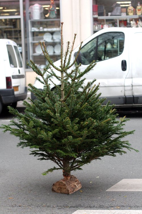 happy holidays!