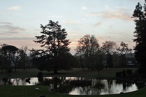 Chateau