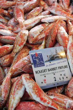 rouget