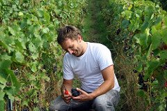 olivier vigne