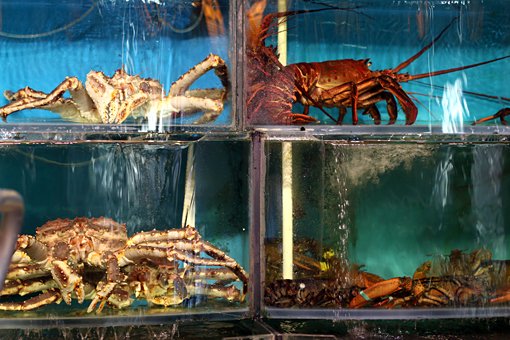 Crab and lobster at Saigon