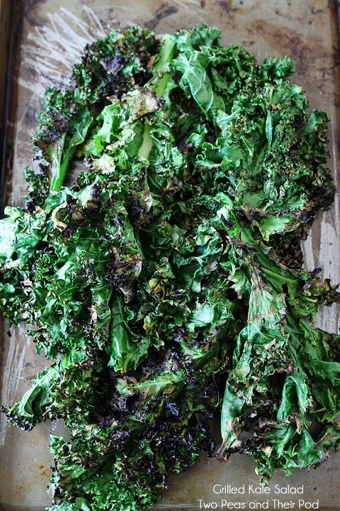 Grilled Kale Salad Recipe on twopeasandtheirpod.com Grilled kale is amazing! Grilled Kale Salad Recipe on twopeasandtheirpod.com Grilled kale is amazing!