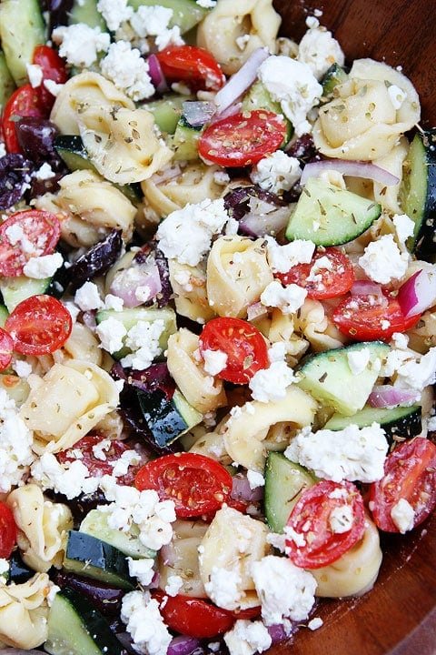 Greek Tortellini Salad Recipe on twopeasandtheirpod.com Greek salad just got better! Close up of Tortellini Pasta Salad with feta, cucumber, olive and tomato