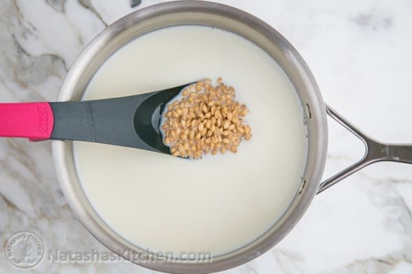 Wheat Pudding Recipe - Kutia-2