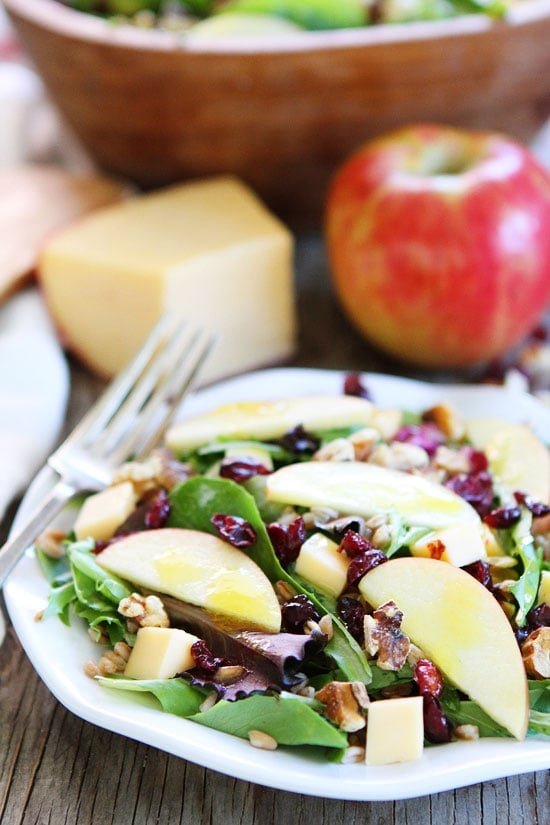 Apple, Gouda, and Farro Salad Recipe on twopeasandtheirpod.com The perfect salad for fall and for all of your holiday meals! Apple, Gouda, and Farro Salad Recipe