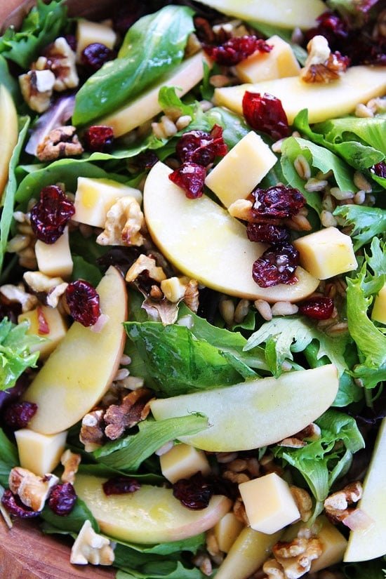 Apple, Gouda, and Farro Salad Recipe on twopeasandtheirpod.com This salad is full of flavor and perfect for all of your holiday meals! Apple, Gouda, and Farro Salad Recipe