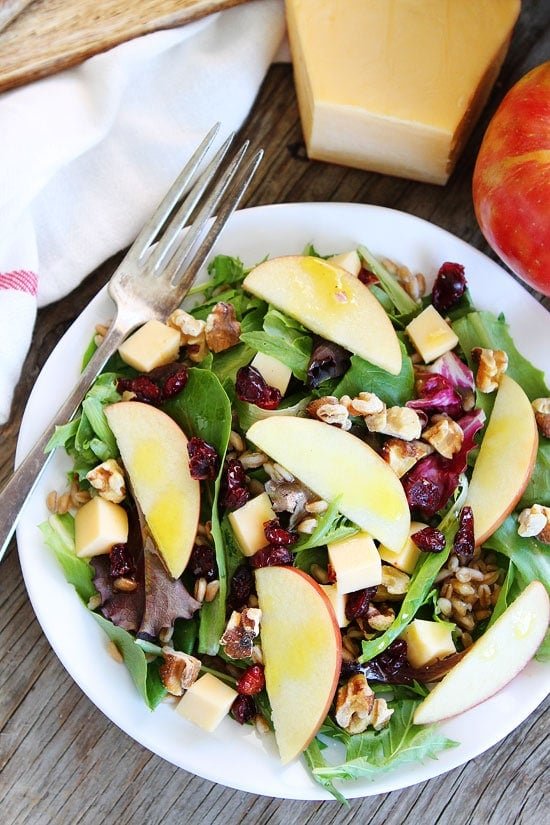 Apple, Gouda, and Farro Salad Recipe on twopeasandtheirpod.com This easy salad recipe is perfect for fall! Apple, Gouda, and Farro Salad Recipe