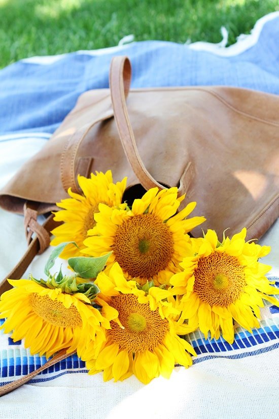 Summer Picnic Recipes and Tips on twopeasandtheirpod.com Summer Picnic Tips and Recipes