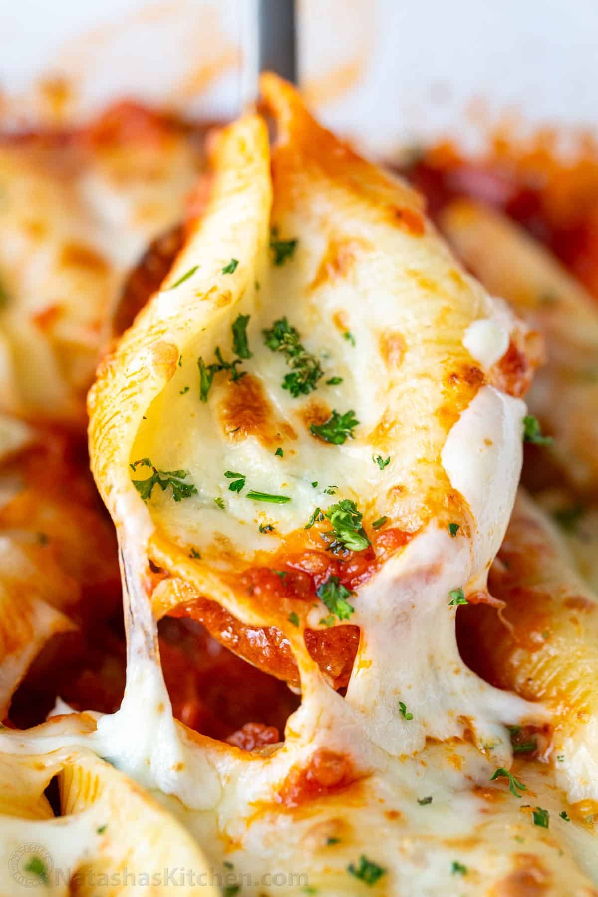 Stuffed Shells filled with ricotta, parmesan, and melty mozzarella cheese. Stuffed Pasta Shells always disappear fast and reheat well. Cheesy stuffed shell on spoon