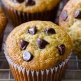 Banana muffins with chocolate chips