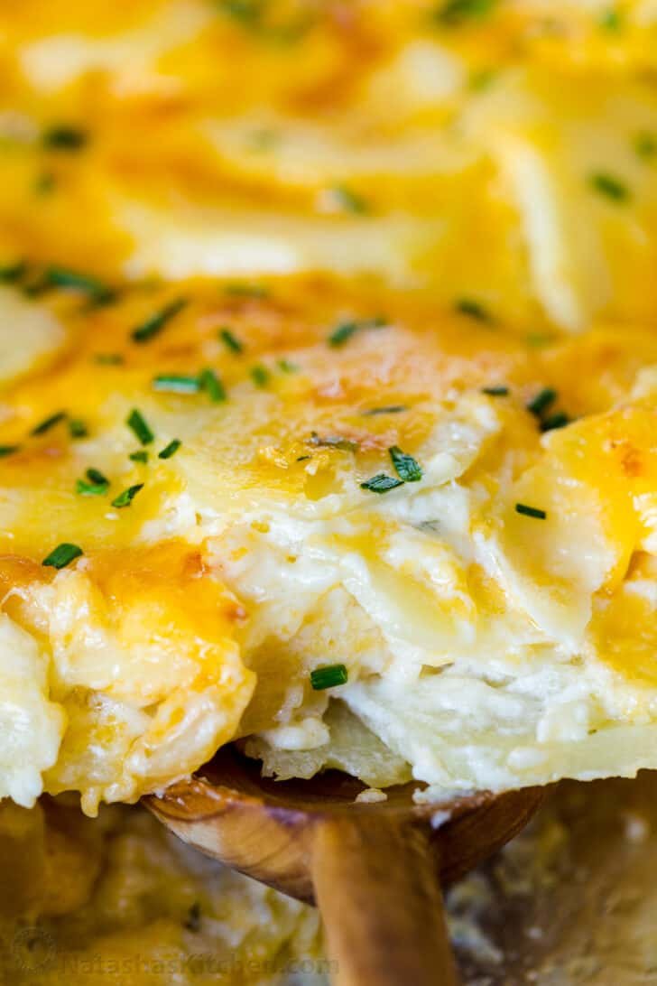 Creamy, cheesy, and easy Scalloped Potatoes Recipe. This holiday-worthy potato side dish has few ingredients and comes together quickly. #scallopedpotatoes #potatocasserole #potatobake perfectly baked scalloped potatoes on a spoon