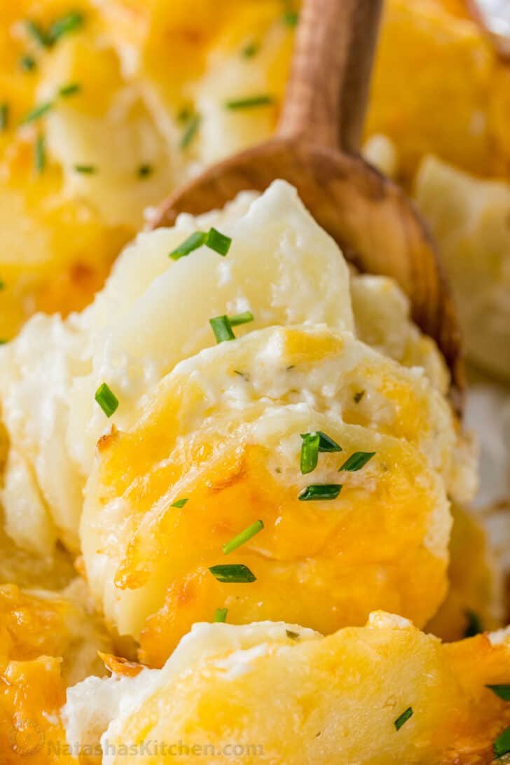 Creamy, cheesy, and easy Scalloped Potatoes Recipe. This holiday-worthy potato side dish has few ingredients and comes together quickly. #scallopedpotatoes #potatocasserole #potatobake Easy Scalloped Potatoes served on a spoon