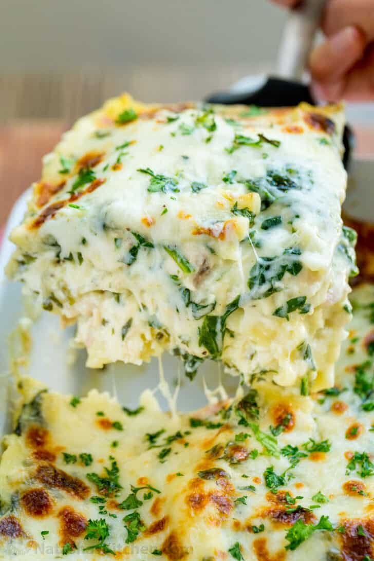 Baked Chicken lasagna slice on spatula