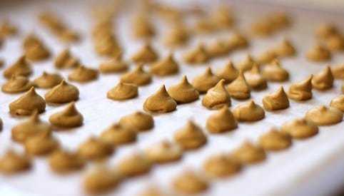 These buttery, delicious Healthy Homemade Butterscotch Chips require only 5 ingredients, and they're all natural, refined sugar free, gluten free and vegan. These buttery, delicious Healthy Homemade Butterscotch Chips require only 5 ingredients, and they're all natural, refined sugar free, gluten free and vegan.