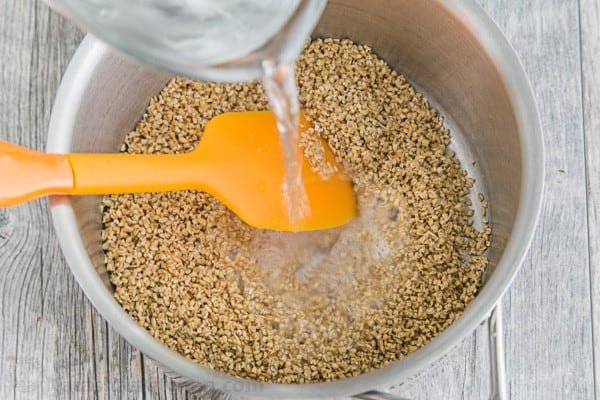 Cinnamon Maple Steel Cut Oats Recipe-8