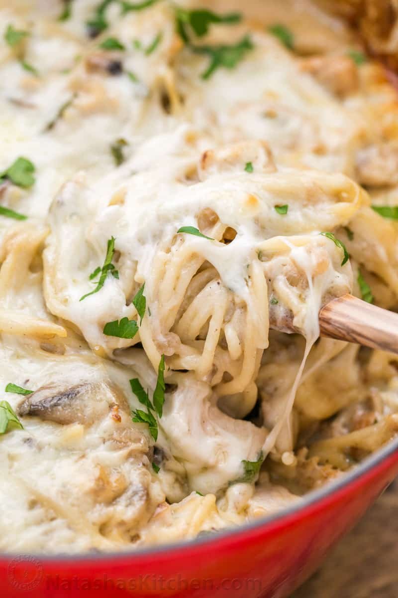 Chicken Tetrazzini is a comforting, cheesy, supremely creamy chicken pasta bake. This chicken pasta casserole will have your family refilling their bowls!