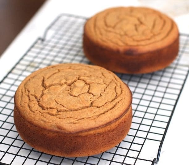 This Healthy Peanut Butter Cake is topped with a Guilt-Free Chocolate Frosting. It's so sweet and delicious you'd never know it's low sugar, high protein, high fiber, and gluten free!