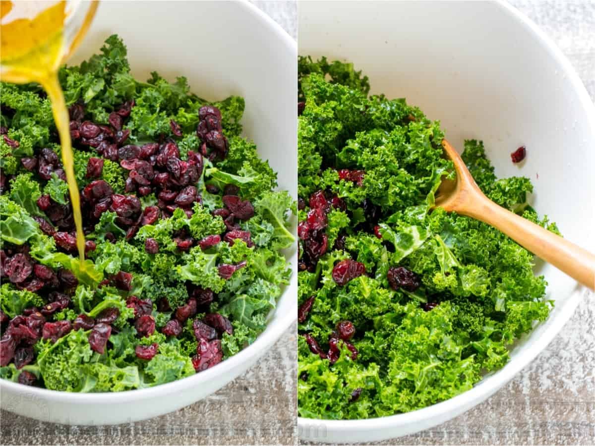 You will love this Autumn-inspired Kale Salad Recipe with apples, pears, cranberries, and toasted pecans with honey lemon dressing. It's so easy to prepare and it's one of the few green salads that can be made ahead. #kalesalad #kalesaladrecipe #kalesaladdressing #salad #saladrecipes Adding dressing to kale salad and massaging it to soften the kale