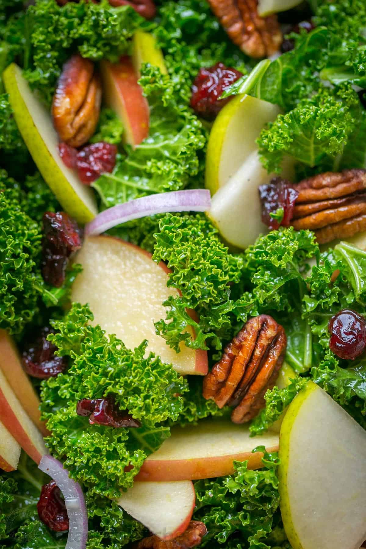 You will love this Autumn-inspired Kale Salad Recipe with apples, pears, cranberries, and toasted pecans with honey lemon dressing. It's so easy to prepare and it's one of the few green salads that can be made ahead. #kalesalad #kalesaladrecipe #kalesaladdressing #salad #saladrecipes Tossed kale salad with apple, pear, pecan, onion, cranberries