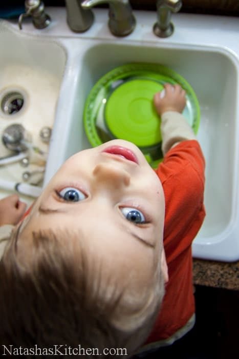 Salad Spinner