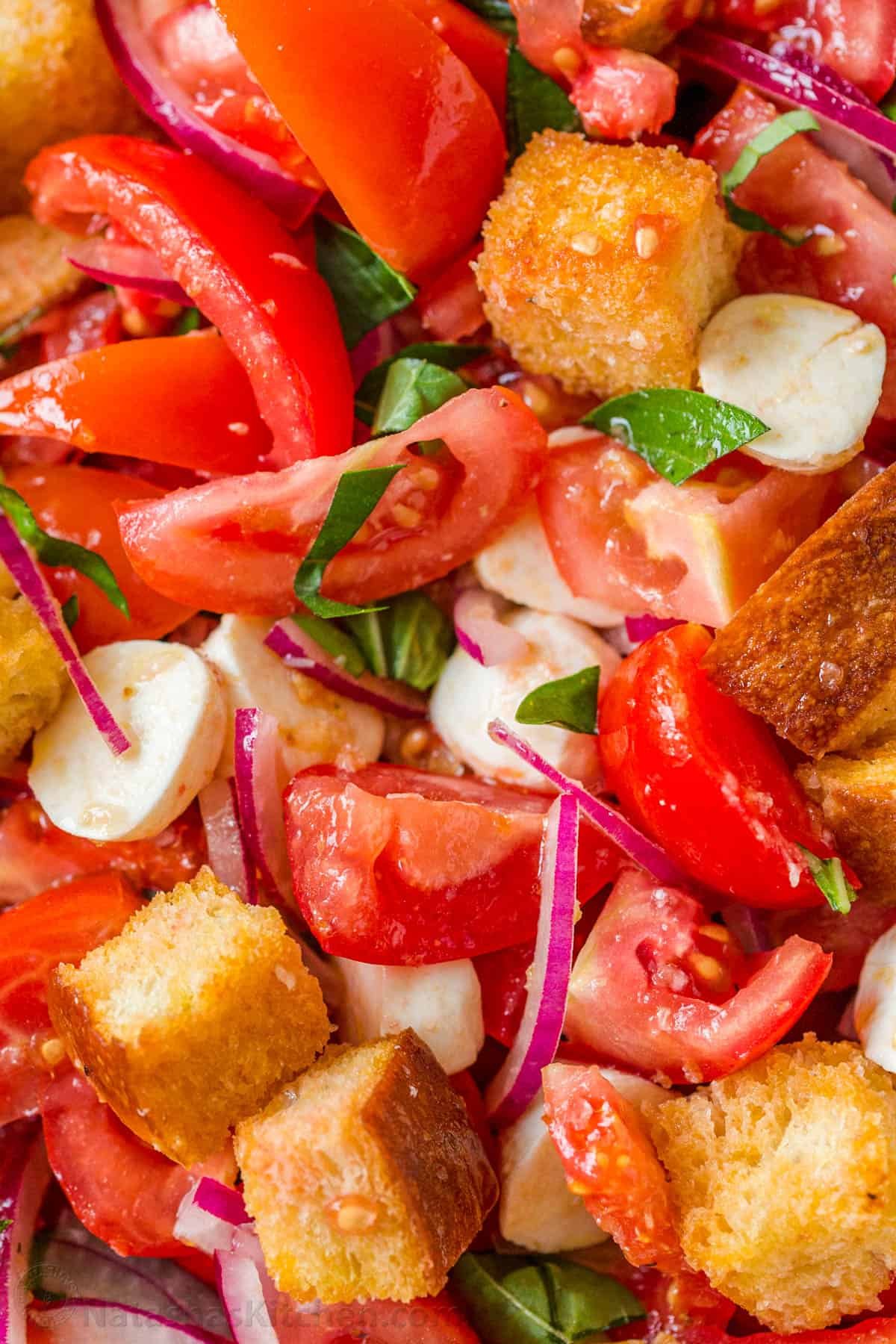 Mixed panzanella salad with tomatoes and bread