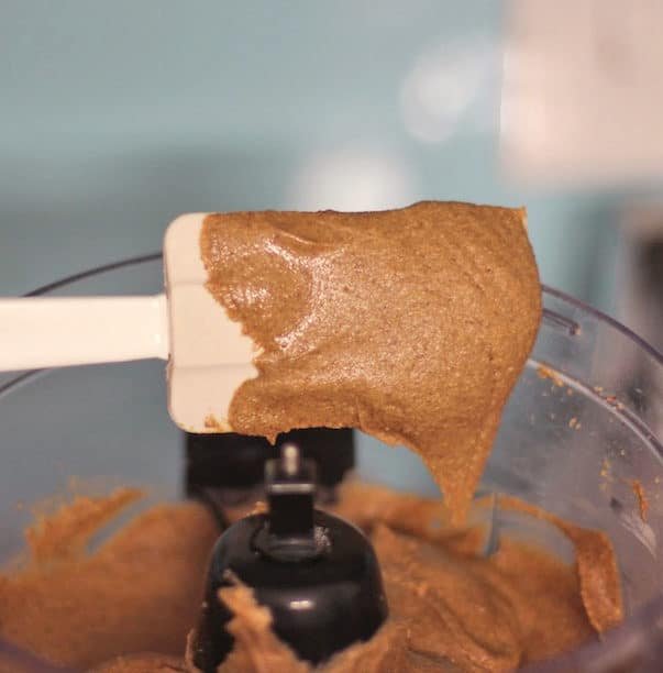 Making Healthy Homemade Wild Jungle Peanut Butter - Desserts with Benefits