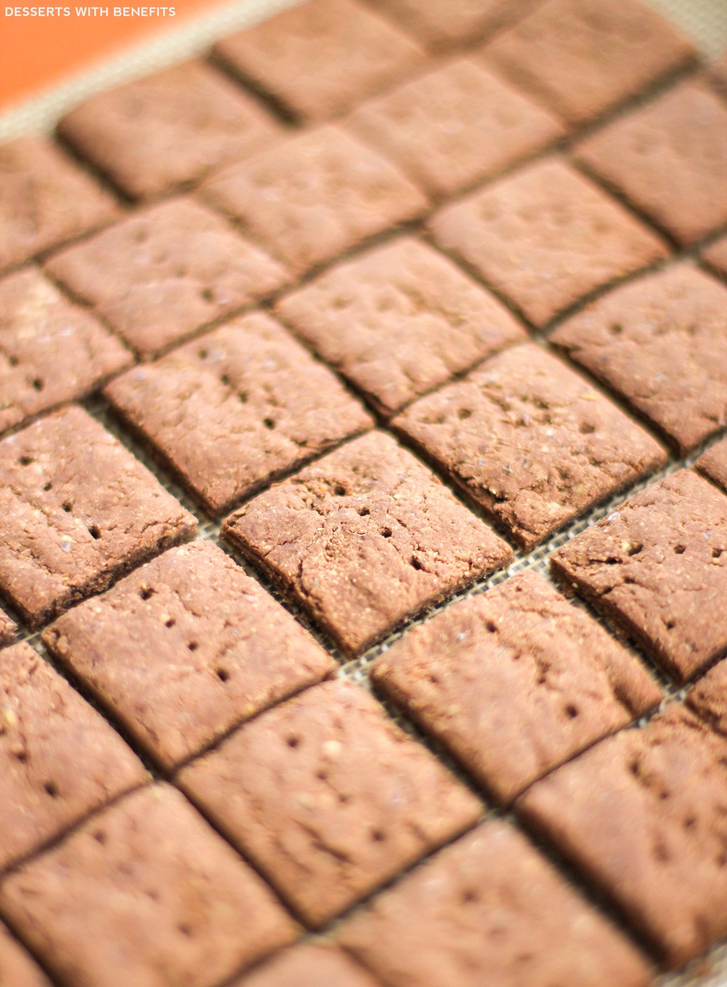 Healthy Chocolate Flax Crackers (refined sugar free, low fat, high protein, high fiber, gluten free, vegan) - Healthy Dessert Recipes at Desserts with Benefits