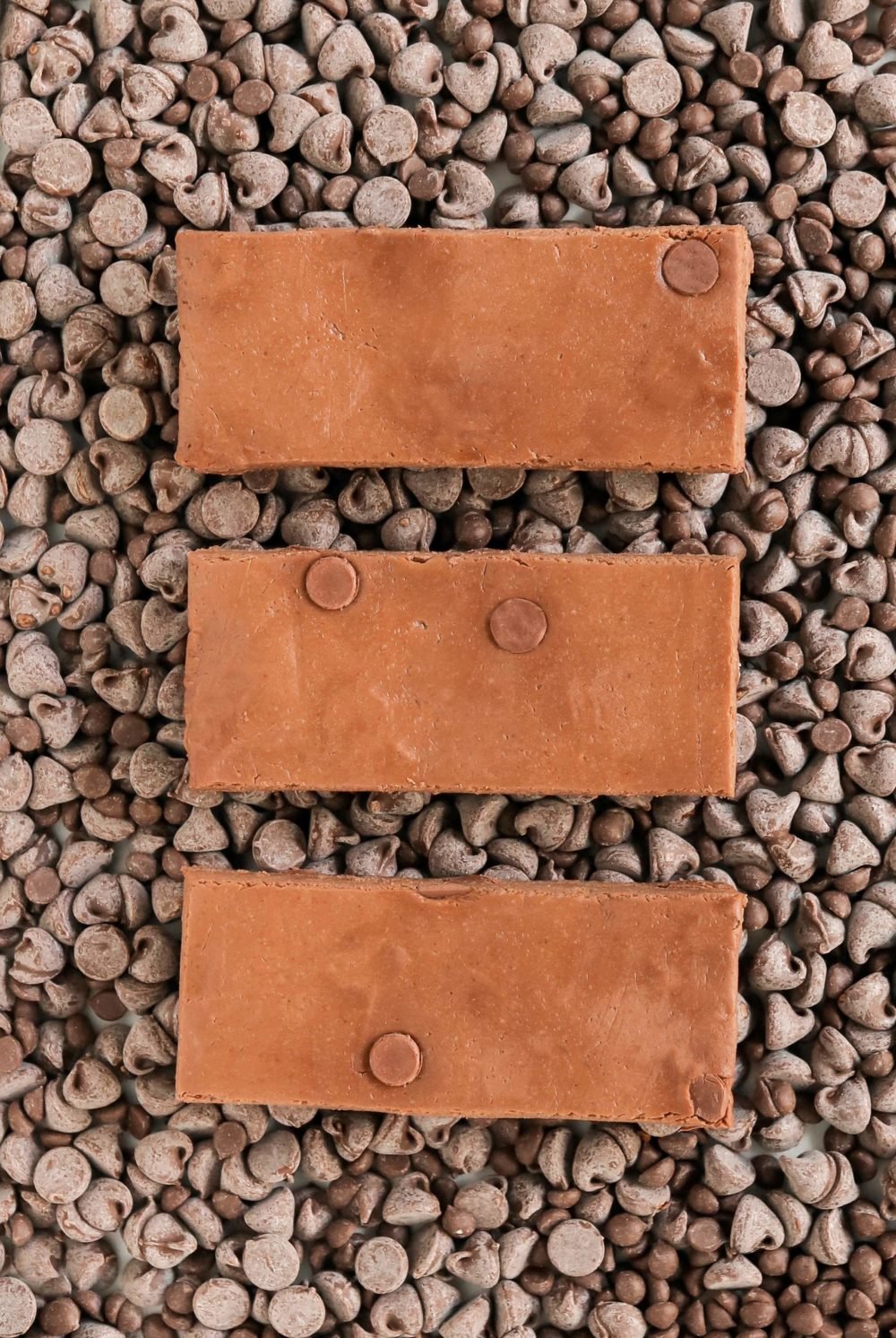 Healthy Chocolate Fudge DIY Protein Bars Recipe from the DIY Protein Bars Cookbook!