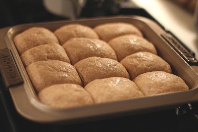 Healthy Fluffy Dinner Rolls
